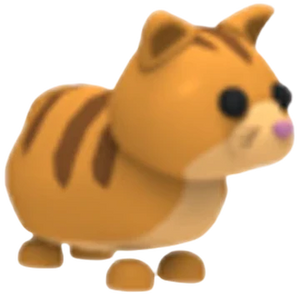 Ginger Cat