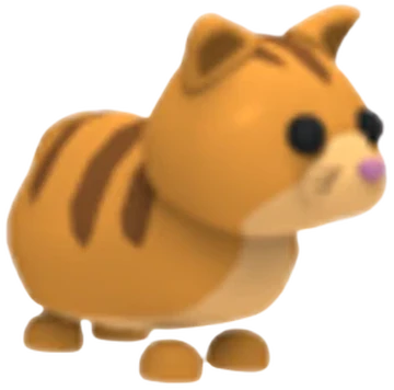 Ginger Cat