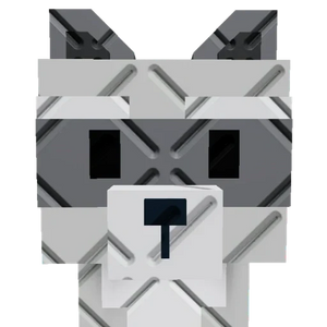 Big Raccoon