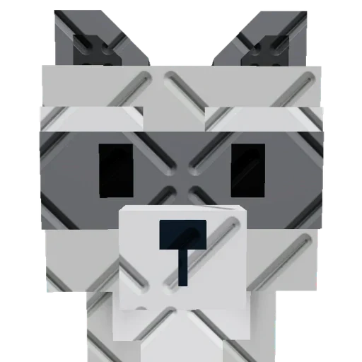Big Raccoon