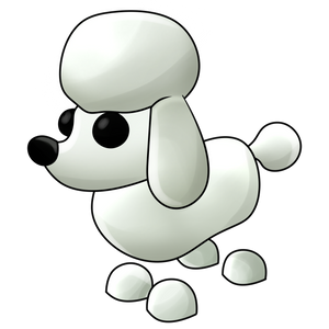 Poodle