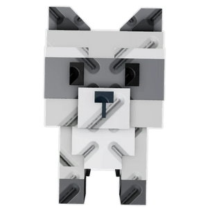Raccoon