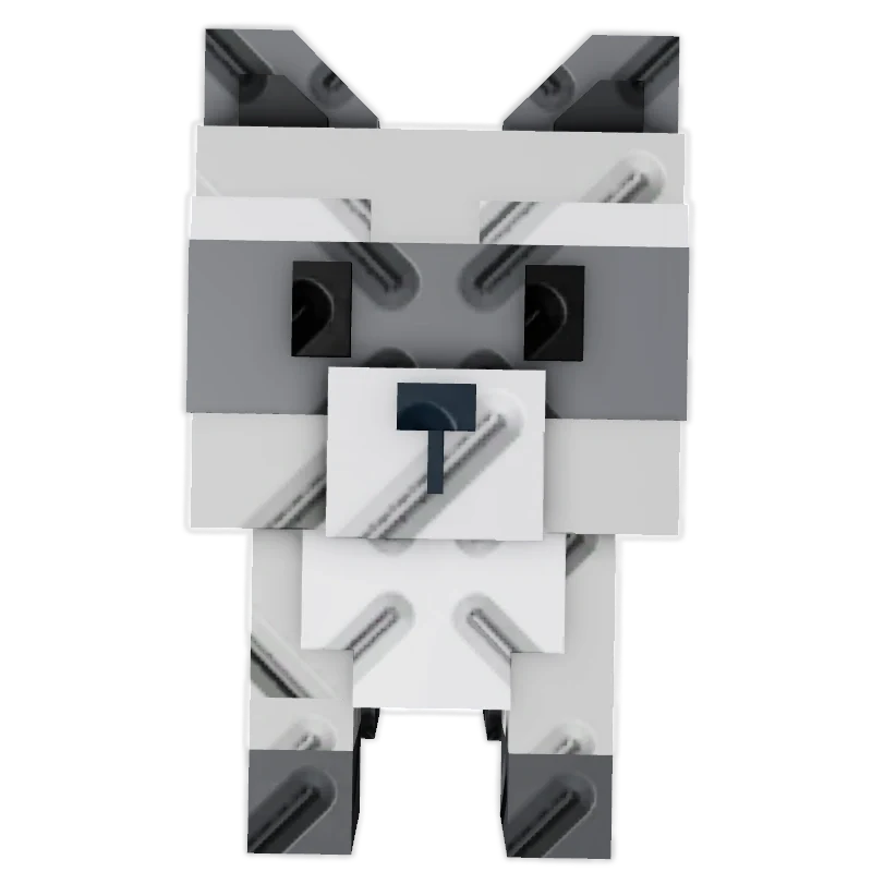 Raccoon