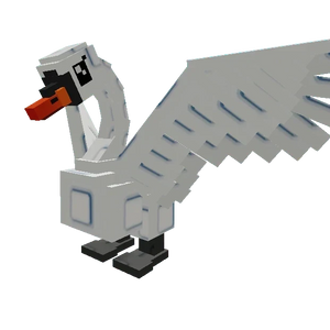 Swan
