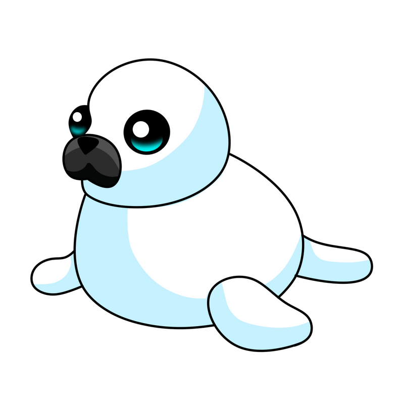Harp Seal