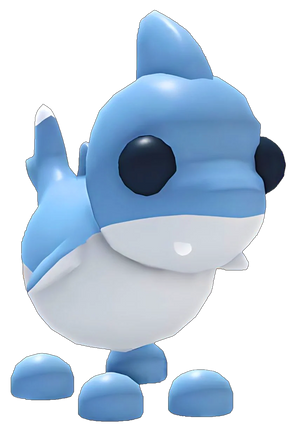 Shark Puppy