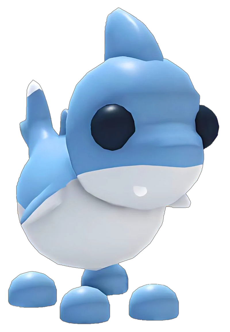 Shark Puppy