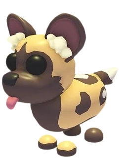 African Wild Dog